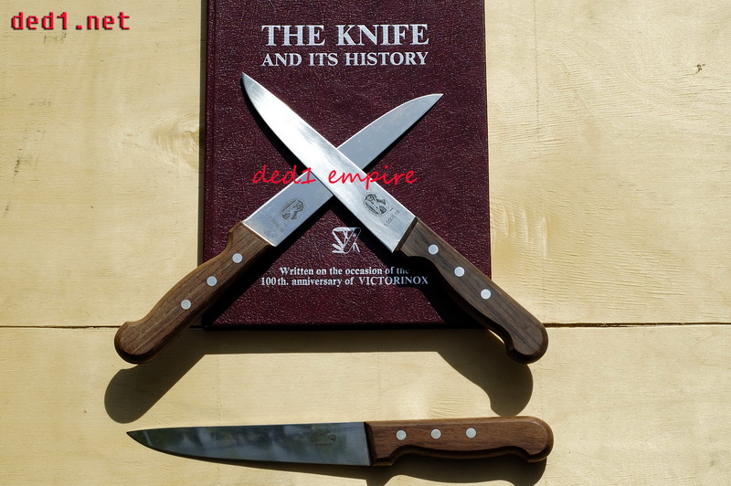 pisau daging Victorinox CAP PAYUNG
